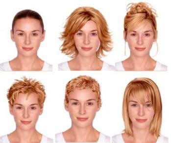 hair style free pictures face shape